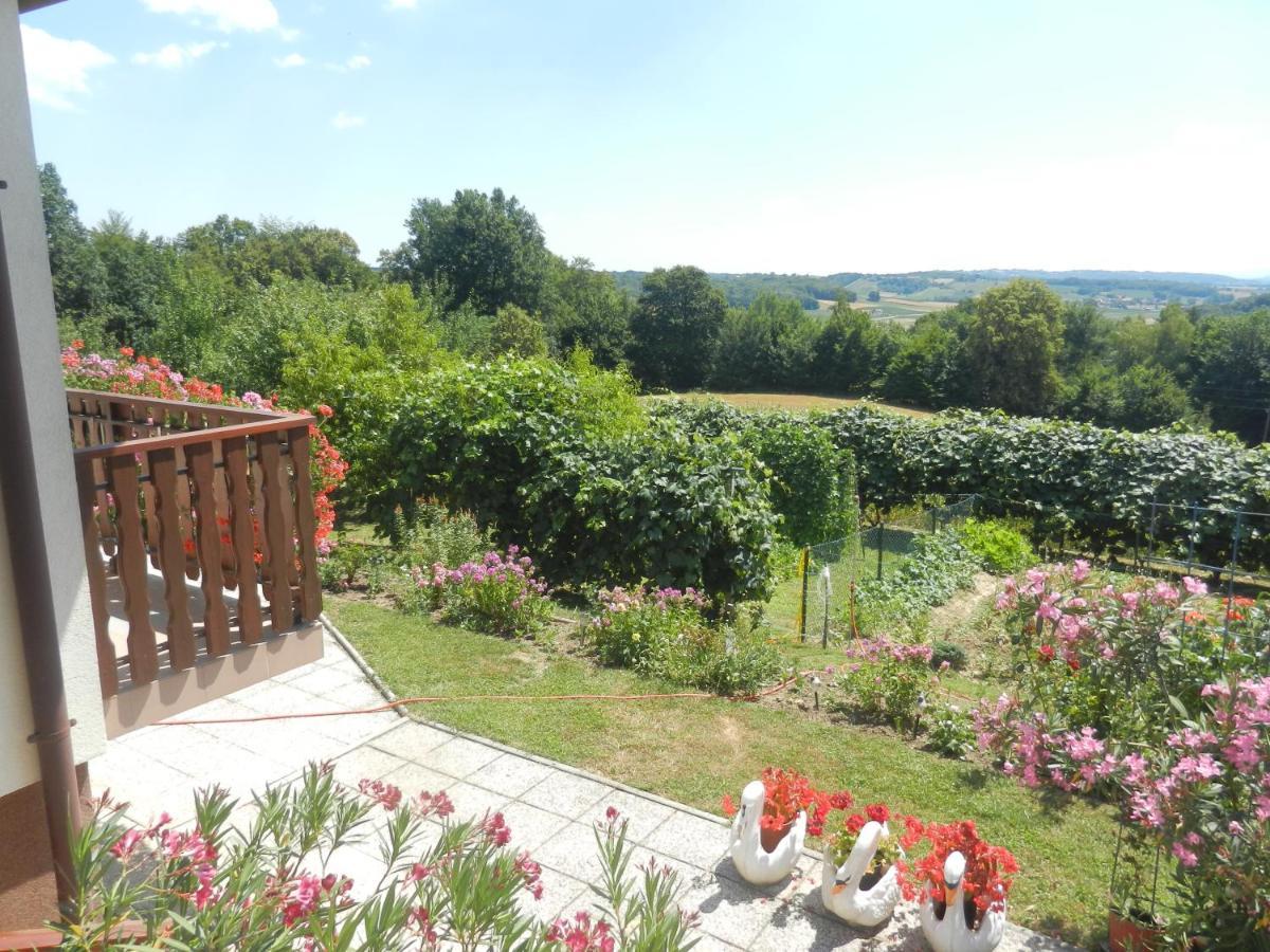 Urlaub Fuer Die Seele - Erholung Pur In Der Natur - Ferienhaus Mit Infrarotkabine & Relax-Raum Rucmanci Exteriér fotografie