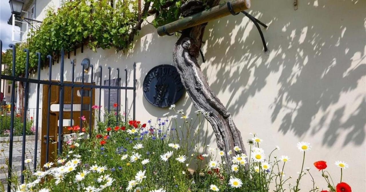 Urlaub Fuer Die Seele - Erholung Pur In Der Natur - Ferienhaus Mit Infrarotkabine & Relax-Raum Rucmanci Exteriér fotografie